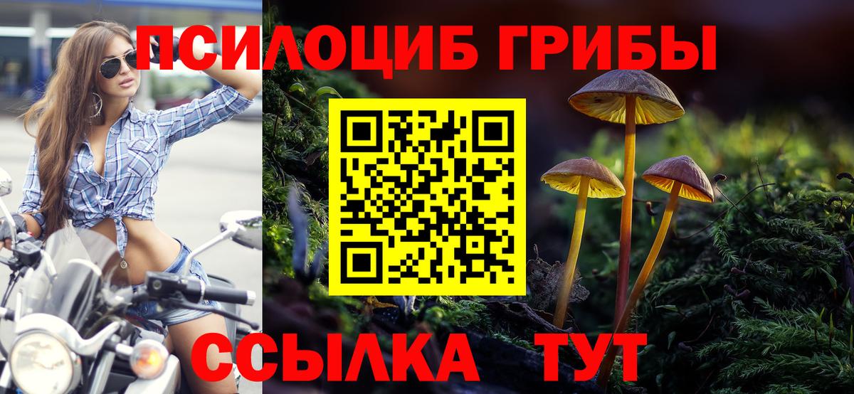 Псилоцибиновые грибы прущие грибы  Вход с VPN  Ефремов 