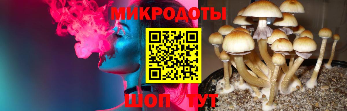 Псилоцибиновые грибы мухоморы Ефремов